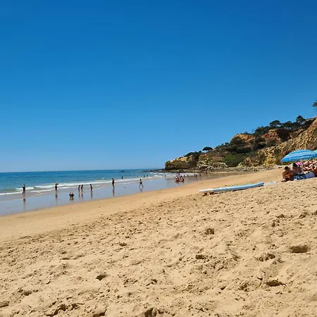 Cabrita *