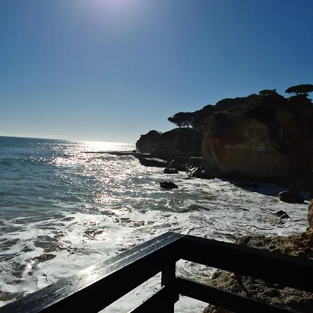 Cabrita Olhos de Agua (Albufeira)