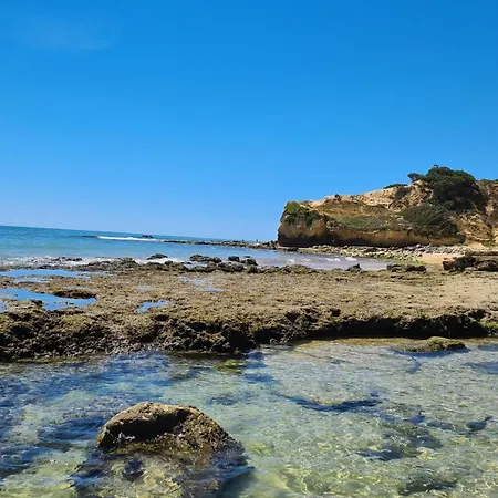 Cabrita Olhos de Agua (Albufeira)
