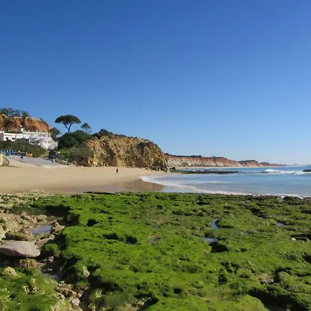 Cabrita * Olhos de Agua (Albufeira)