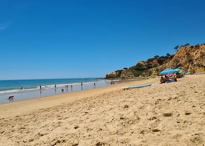 Cabrita *