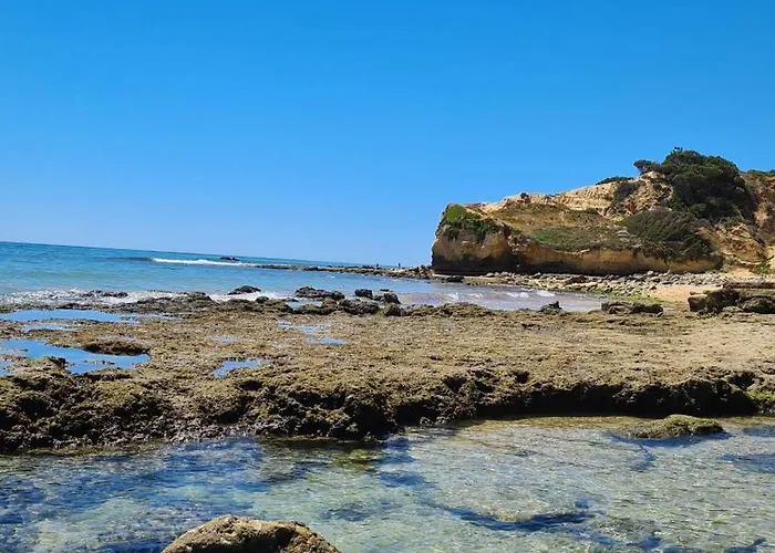 Cabrita Olhos de Agua (Albufeira)